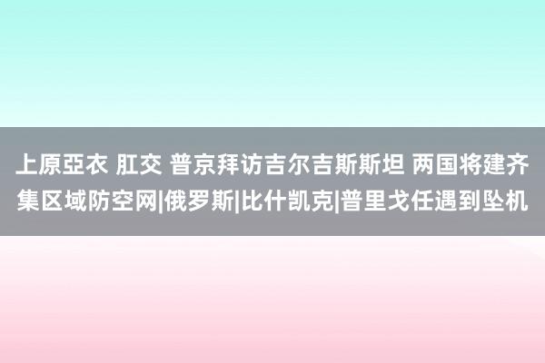 上原亞衣 肛交 普京拜访吉尔吉斯斯坦 两国将建齐集区域防空网|俄罗斯|比什凯克|普里戈任遇到坠机