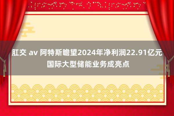 肛交 av 阿特斯瞻望2024年净利润22.91亿元 国际大型储能业务成亮点